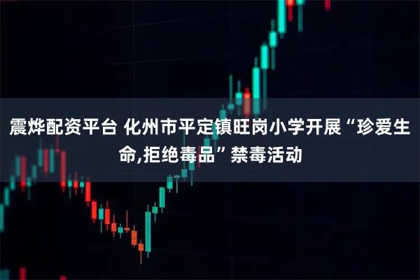 震烨配资平台 化州市平定镇旺岗小学开展“珍爱生命,拒绝毒品”禁毒活动