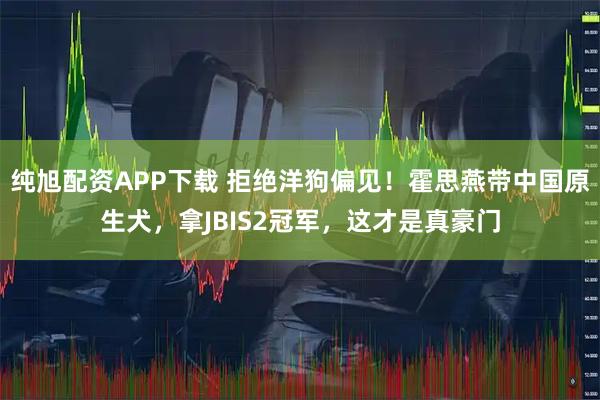 纯旭配资APP下载 拒绝洋狗偏见！霍思燕带中国原生犬，拿JBIS2冠军，这才是真豪门