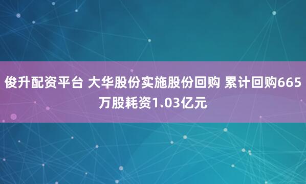 俊升配资平台 大华股份实施股份回购 累计回购665万股耗资1.03亿元